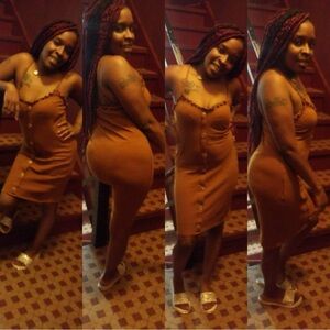 Brown Button-Down Dress